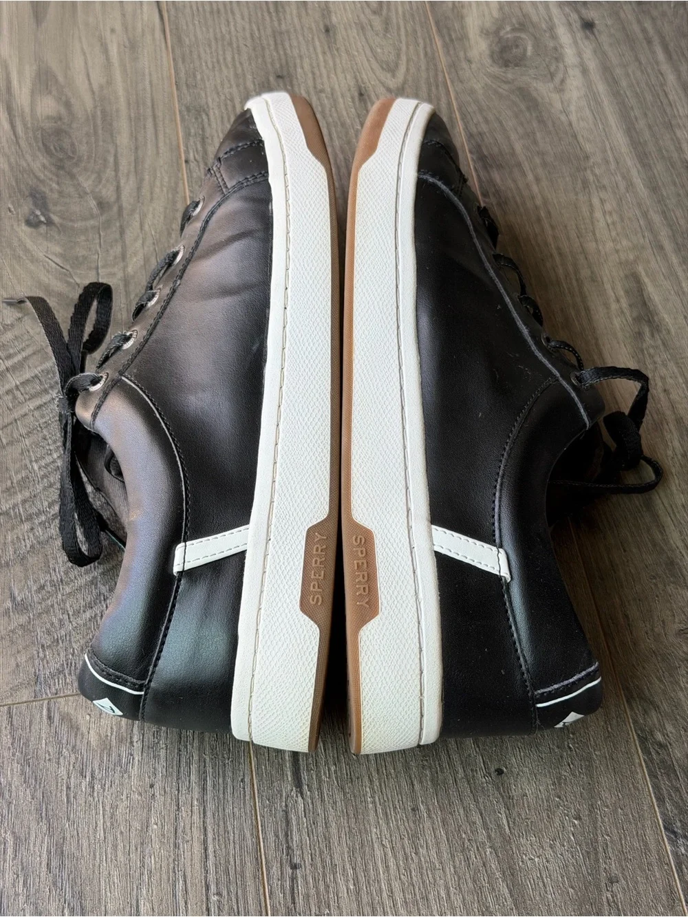 Modern Sperry Topsider Charter Lace Up Memory Foam Sneaker-9.